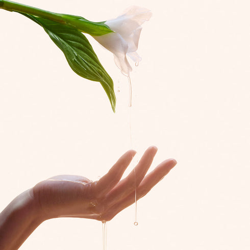 Aromatica Reviving Rose Infusion Serum