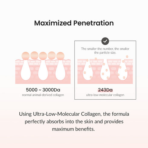 Biodance Pore Tightening Collagen Cream (50ml)