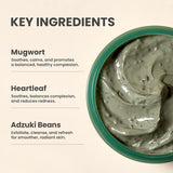 AXIS - Y Mugwort Pore Clarifying Wash Off Mask – Deep Cleansing Clay Mask with Mugwort for Sensitive & Acne-Prone Skin