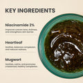 AXIS - Y New Skin Resolution Gel Mask – Hydrating & Calming Gel Mask with Centella Asiatica for Sensitive, Tired Skin
