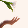 Aromatica Reviving Rose Infusion Serum