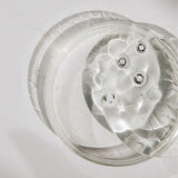 Aromatica Dandelion Feminine Gel