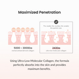 Biodance Pore Tightening Collagen Cream (50ml)