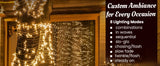 Just for Christmas 20M White LED Plug-In Indoor String Fairy Lights Bedroom Living Room Decor 200 LEDs 8 Modes with 6H On 18H Off Timer Function for Seasonal and Everyday Decoration